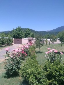 Satılır Həyət evi, Qəbələ.ş-9
