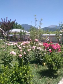 Satılır Həyət evi, Qəbələ.ş-14