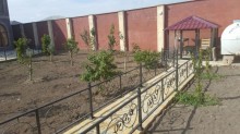 buzovna heyet evi elanlari, -16