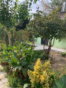 bilgeh villa bag evi elanlari, -18
