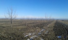 sale-commercial-property-xizi-3-1610309252-s
