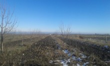 Sale Commercial Property, Xizi.c-4