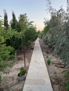 nardaran bag evi elanlari, -5