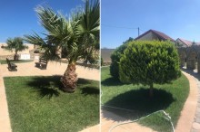 Villa shuvalan mayak erazisinde yerleshir, -4