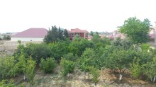 novxani bag evi heyet evleri, -15
