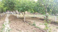 novxani bag evi heyet evleri, -16