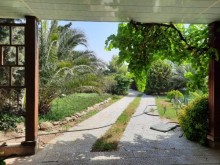 Suvalanda villa evler alqi satqisi  , yashilliq dolu bag evi, -7