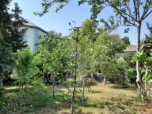 Suvalanda villa evler alqi satqisi  , yashilliq dolu bag evi, -16