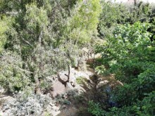Suvalanda villa evler alqi satqisi  , yashilliq dolu bag evi, -17