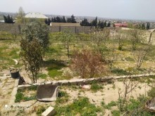bilgeh heyet evi, -3