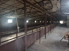Продажа Объект, Ахсу.г-4