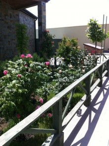 Kirayə (Aylıq) Villa, Sabunçu.r, Bilgəh-16