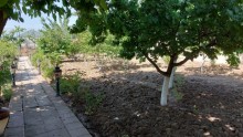 novxanida satilan villa elanlari, -19