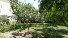 novxani heyet evi, -4
