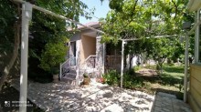 novxani heyet evi, -5