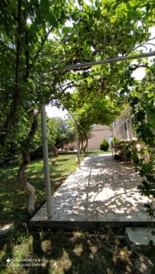 novxani heyet evi, -6