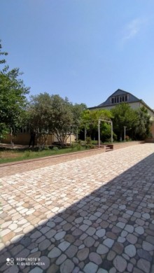 novxani heyet evi, -19