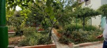goradilde bag evi almaq, -13