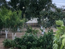 Sale Villa, -2