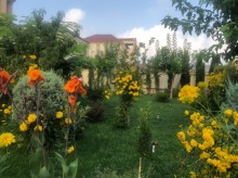novxani villa elanlari, -2