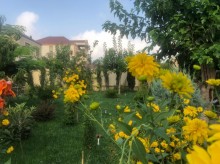 novxani villa elanlari, -3