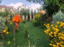 novxani villa elanlari, -5
