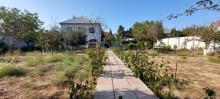 novxani villa qiymetleri, -17