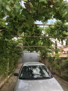 novxani bag evi qiymetleri, -3