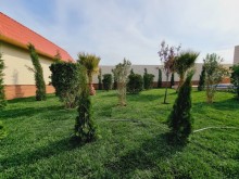 buy garden in mardakan 219 kv/m, -4