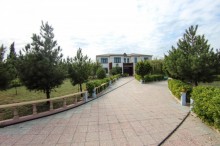 Saganda 25 sot torpaq sahəsində yaşıllıq dolu bağ evi, -6
