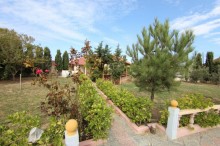 Saganda 25 sot torpaq sahəsində yaşıllıq dolu bağ evi, -7