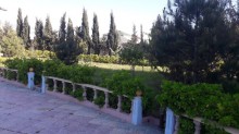 Saganda 25 sot torpaq sahəsində yaşıllıq dolu bağ evi, -10