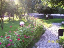 Sale Commercial Property, Shaki.c-7