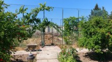 novxanida heyet evi satilir, -3
