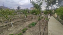 azerbaijan real estate for sale 720.000 azn, -20