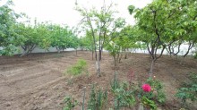 buy home in baku saray settlement, -14