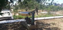 Bilgehde villa sahəsi 300 kv-m olan, 50 sot torpaq sahəsində, dənizdən 600 metr, -5