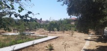 Bilgehde villa sahəsi 300 kv-m olan, 50 sot torpaq sahəsində, dənizdən 600 metr, -20
