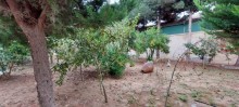 Bilgeh villa massiinde iki mertebeli yeni teklif, -9