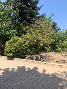 novxanida bag evi, -14