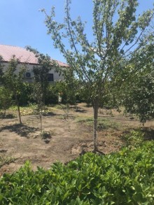 shuvalanda villa satilir, -11