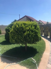 shuvalanda villa satilir, -12