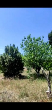 satilir-torpaq-baki-sabuncu-bilgeh-168-1655822522-s