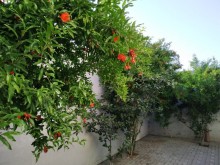 Buy cheap cottage, Baku, Buzovna Albalyk, -7