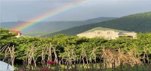 farmhouses for sale in azerbaijan qax, -2
