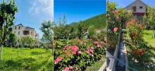 farmhouses for sale in azerbaijan qax, -4