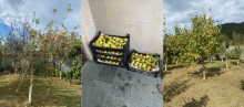 farmhouses for sale in azerbaijan qax, -7