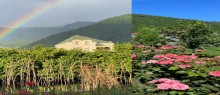 farmhouses for sale in azerbaijan qax, -18