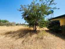Buzovnada bağ evi satılır yola yaxın daimi yaşamaq üçün münasib , -5