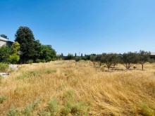 Buzovnada bağ evi satılır yola yaxın daimi yaşamaq üçün münasib , -8